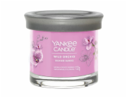 Svíčka ve skleněném válci Yankee Candle, Divoká orchidej, 122 g