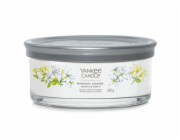 Svíčka ve skleněném válci Yankee Candle, Půlnoční jasmín, 340 g