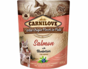 Carnilove Brit Carnilove lososové borůvky Salmon non -berge pro štěňata 300 g