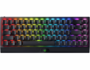 Klávesnice Razer BlackWidow V3 Mini HyperSpeed Phantom Ed. (RZ03-03892000-R3M1)