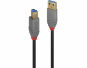 Lindy USB-A - USB-B USB kabel 5 m černý (36744)