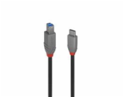 Kabel Lindy Lindy 2m USB 3.2 typu C an B, linka Anthra