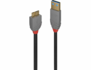 Lindy USB-A - micro-B USB kabel 2 m černý (36767)