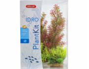 Zolux Plantkit Idro N°1