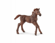 Schleich 13857 Plnokrevné hříbě