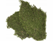 Terarijní substrát Terra Natura Moss 100g (země původu Türkiye)