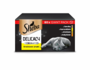 SHEBA Delicacy drůbeží příchutě v želé - vlhké krmivo pro kočky - 80x 85 g