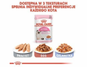 Royal Canin FHN Kitten Instinctive in sauce - vlhké krmivo pro koťata - 12x85g