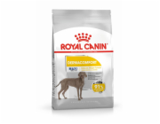 ROYAL CANIN CCN Dermacomfort Maxi - Suché krmivo pro psy 12 kg