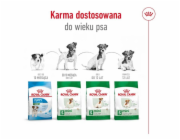 ROYAL CANIN Adult Mini S - suché krmivo pro psy - 8kg