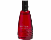 Real Time Red Canyon EDT 100 ml