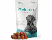 GELOREN Large dog Joints - vitamíny pro psa - 420g