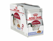 ROYAL CANIN FHN Instinctive in jelly - vlhké krmivo pro dospělé kočky - 12x85g