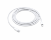 USB-C to Lightning Cable (2 m) / SK