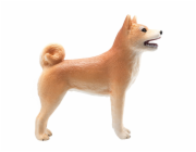 Mojo Pes shiba-inu