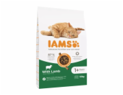 IAMS Advanced Nutrition Cat Adult Lamb - suché krmivo pro kočky - 10 kg