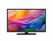 Panasonic TV-24S50AEZ schwarz