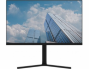 Monitor Dahua Technology LM24-B201A