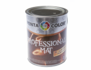 Základ barvy Pentacolor Professional Matt, emulze, 1l