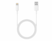 Tracer 47086 USB 2.0 iPhone AM Lightning 1m white