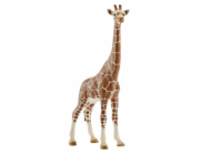 Schleich Wild Life Zirafa samice